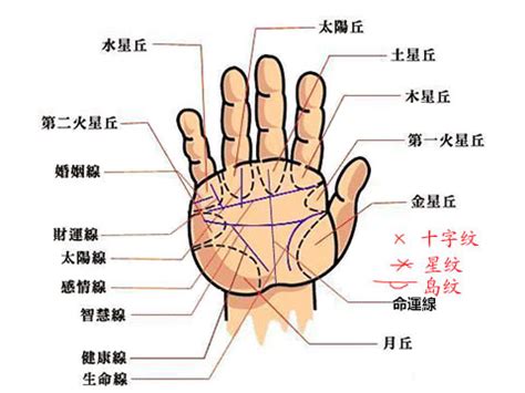 無名指下方橫線|手掌紋路圖解大全